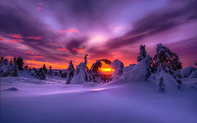 Зимний закат природа - фото и картинки: 60 штук