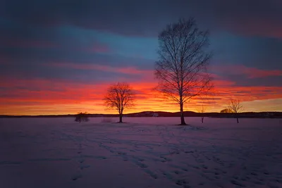 закат виден над заснеженной землей, картинка зимнего заката фон картинки и  Фото для бесплатной загрузки