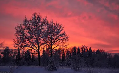 Зимний закат. Фотограф Зорин Дмитрий