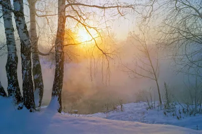 Краски зимнего заката Милый мягкий …» — создано в Шедевруме