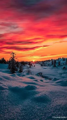 Зимний закат пейзаж с деревьями и следами ног . стоковое фото ©swkunst  171191238