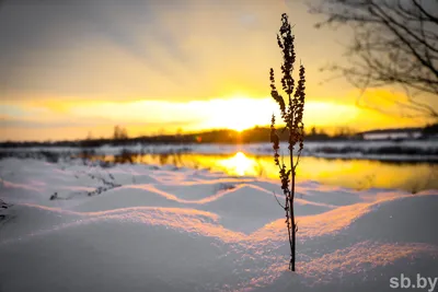 История зимнего заката. — Сообщество «Мобильная Фотография» на DRIVE2