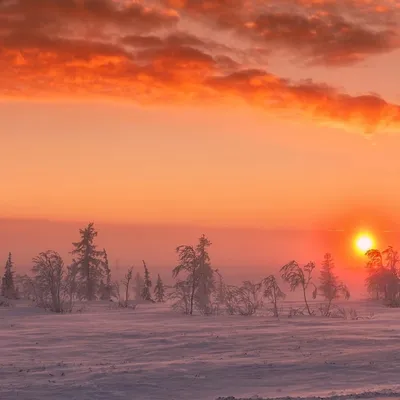Зимний закат :: Valentina Kolotovkina – Социальная сеть ФотоКто