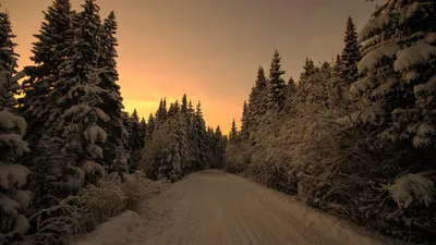 Pictures Winter Nature Snow Seasons 1920x1080