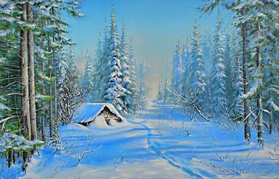 Фото зимний пейзаж леса фото
