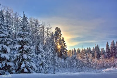 Зимний пейзаж, холод, снег, звёзды…» — создано в Шедевруме