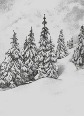 Зимний лес рисунок - 56 фото