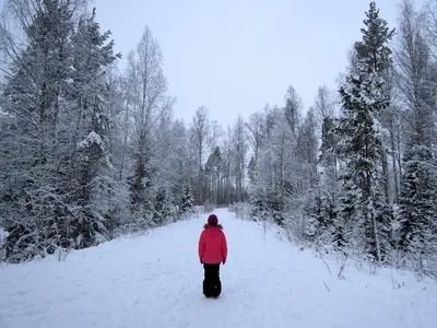 Фотосессия зимой на природе. Отличные фотографии своих близких, своего  бизнеса или даже себя. СПб