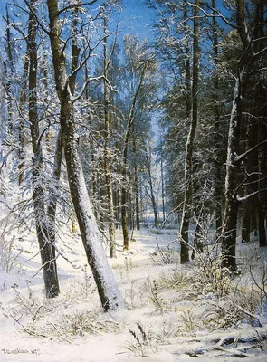 Идеи для фото в лесу зимой: 5 захватывающих причин вдохновиться