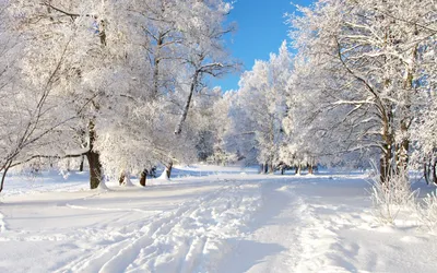 Снежная зима в лесу, детализированное…» — создано в Шедевруме