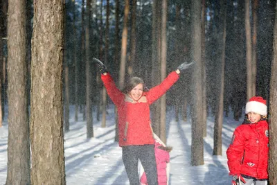 зимний пейзаж в зимнем лесу зимой, уличное дерево, зима, время года фон  картинки и Фото для бесплатной загрузки