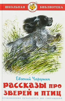 Биология зверей и птиц. Учебник. Харченко Н.Н. - купить книгу с доставкой |  Майшоп