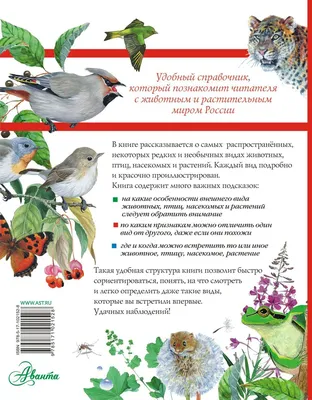 Снегирев Г.Я. \"Первые книжки о животных. Про птиц и зверей\" — купить в  интернет-магазине по низкой цене на Яндекс Маркете