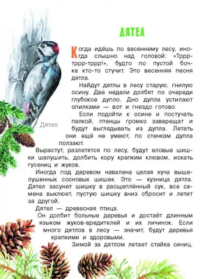 Вышиваем зверей и птиц, , купить книгу 978-5-486-02483-2 – Лавка Бабуин,  Киев, Украина