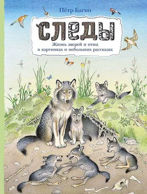 Следы. Жизнь зверей и птиц в картинках и небольших рассказах. - Русские  книги для детей - Happy Universe