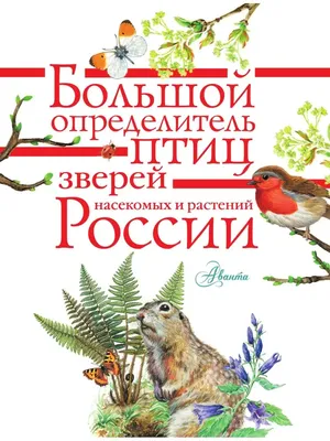 С 1 марта закрывается охота на кабана, птиц и пушных зверей - В Слободском  – портал города и района