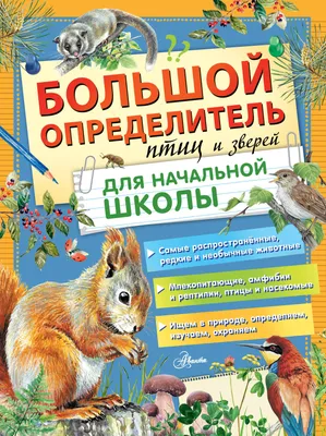 Про птиц и зверей — купить книги на русском языке в DomKnigi в Европе