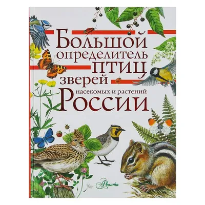 Урок окружающего мира \"Насекомые, рыбы, птицы, звери\"в 1 классе .