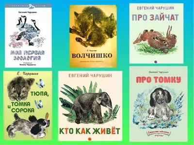 Фламинго. Учебник. Азбука зверей и птиц, , Фламинго купить книгу  978-5-7833-1070-6 – Лавка Бабуин, Киев, Украина