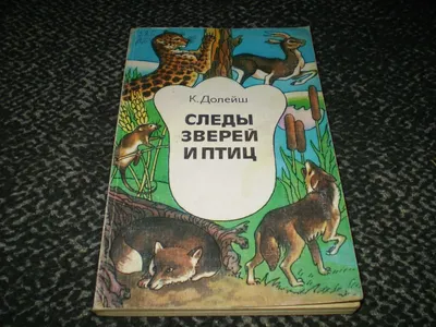 Рассказы про птиц и зверей, , АСТ купить книгу 978-5-17-111871-6 – Лавка  Бабуин, Киев, Украина