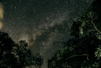 Отражение звёздного неба в озере, …» — создано в Шедевруме