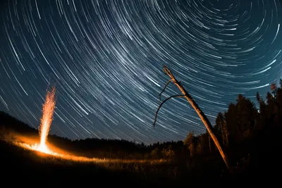 Ночная астрофотография неба с длинной выдержкой, звезды кружатся в пустоте  | Премиум Фото