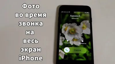 фото контакта на весь экран ios 17｜TikTok Search