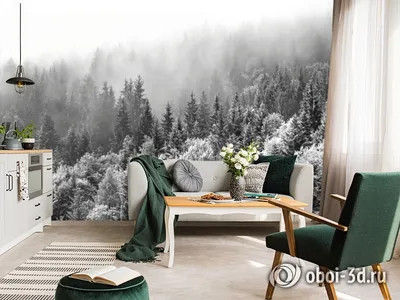 Фотообои флизелиновые Dekor vinil 300x260 см Таинственный лес в тумане  9038dv по цене 6600 ₽/шт. купить в Москве в интернет-магазине Леруа Мерлен