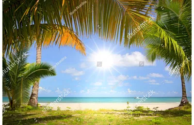 Фотообои Dekor Vinil Пляж обои пляж, флизелиновые фотообои,солнце,море,песок,фреска  в гостиную,спальня,декор стен,роспись,пальмы | AliExpress