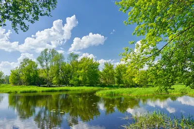 Мастерок Маркет Фотообои бумажные природа для спальни