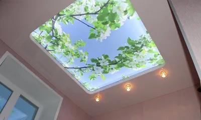 Натяжные потолки с фотопечатью – любое изображение на ваш потолок