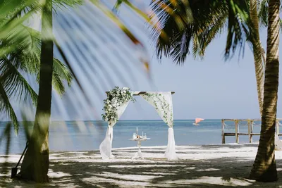 Фотограф в Доминикане. Свадебная фотосессия в Пунта Кане | Tropic.photo
