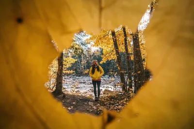 Семейная фотосессия. Новый год в лесу с красной машиной