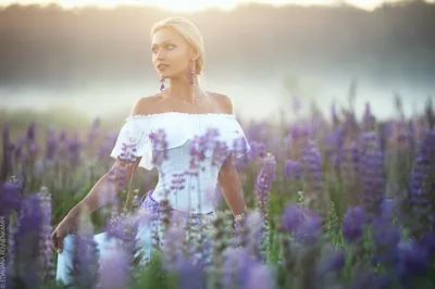 Семейная фотосессия в люпиновом поле. Свадебный и семейный фотограф в Киеве  Николай Куцан