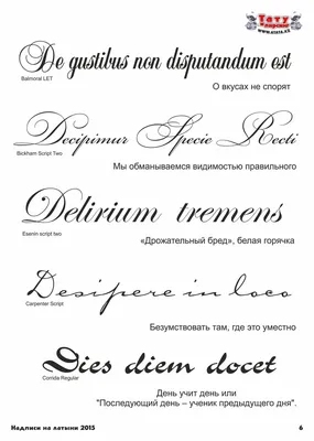 Значение тату надписи на латыни | ВКонтакте