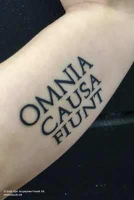 Татуировки со смыслом на латыни - выбор сильных и уверенных в себе людей -  tattopic.ru