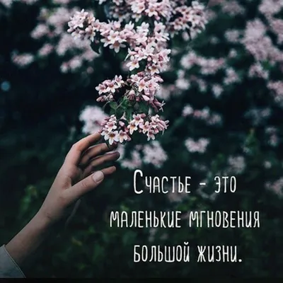 Спасибо за Подписку и Лайки ♥️ #халильибрахимджейхан #людиговорят #цитаты  #цитата #высказыванияизвестныхлюдей #высказывания #фразы #отрывки… |  Instagram