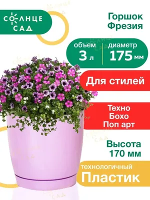 Купить Фрезия махровая микс (10) недорого по цене 291руб.|Garden-zoo.ru