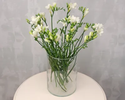 Интерьерный вазон для цветов \"Фьюжн\" с вставкой низкий 20х18 см, фрезия  (DRK)