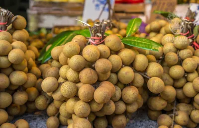 Еда и фрукты на Бали: про цены, рынки и особенности питания