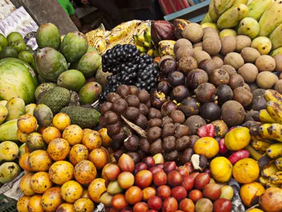 Одесские пищевики помогут сберечь урожай фруктов на Бали | Новости Одессы