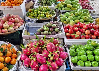 7 фруктов Вьетнама, разрешенных к ввозу в США | ЭКОНОМИКА | Vietnam+  (VietnamPlus)