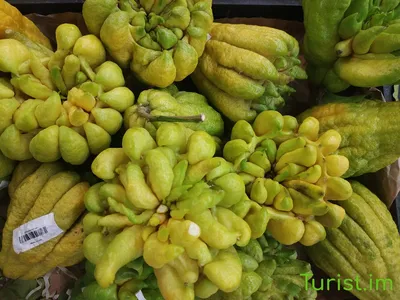 Экзотические фрукты вьетнама название (103 фото) »