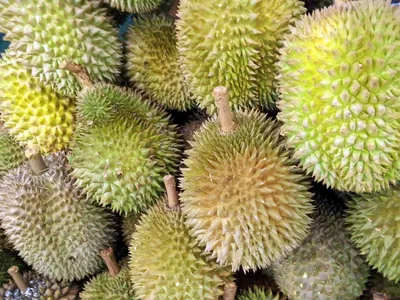 Тропические фрукты Вьетнама | Дима-Тур, Вьетнам