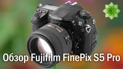 БЛОГ ДМИТРИЯ ЕВТИФЕЕВА | Обзор легендарной фотокамеры Fujifilm FinePix S5  Pro и тест её характеристик