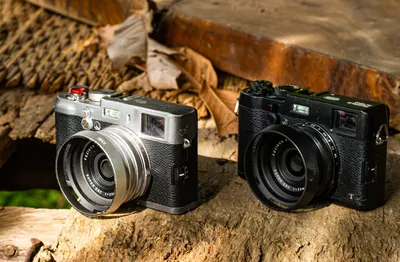 Обзор Fuji X-S10, самой универсальной беззеркальной кроп-камеры |  PHOTOWEBEXPO