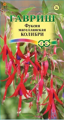 Фуксия Колибри магелланская купить в Москве в интернет-магазине Семена  цветов