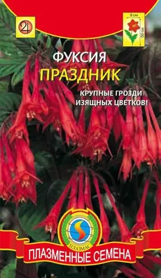 Купить семена Фуксия праздник ПЛ по цене от 41 руб