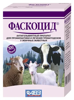 Эмкар выявлен у скота в Актюбинской области. Вводится карантин - АПК Новости