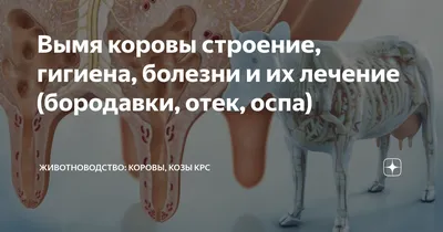 Ветеринарный врач КРС | Вызов ветеринара для коров на дом круглосуточно -  ветеринарная клиника Добрый доктор